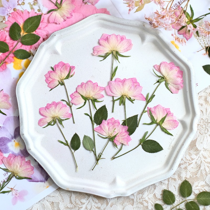 Resin Art Phone Case - 12 Stück, echte getrocknete gepresste Blumen