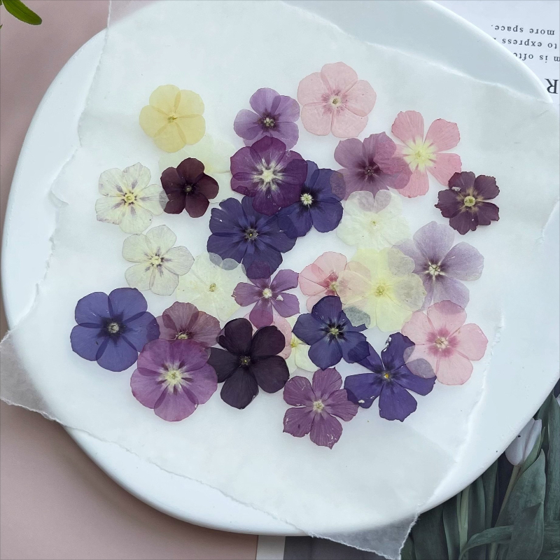 12 Stück, halbtransparente Nis – Resin Art Phone Case Bewertung und Preis