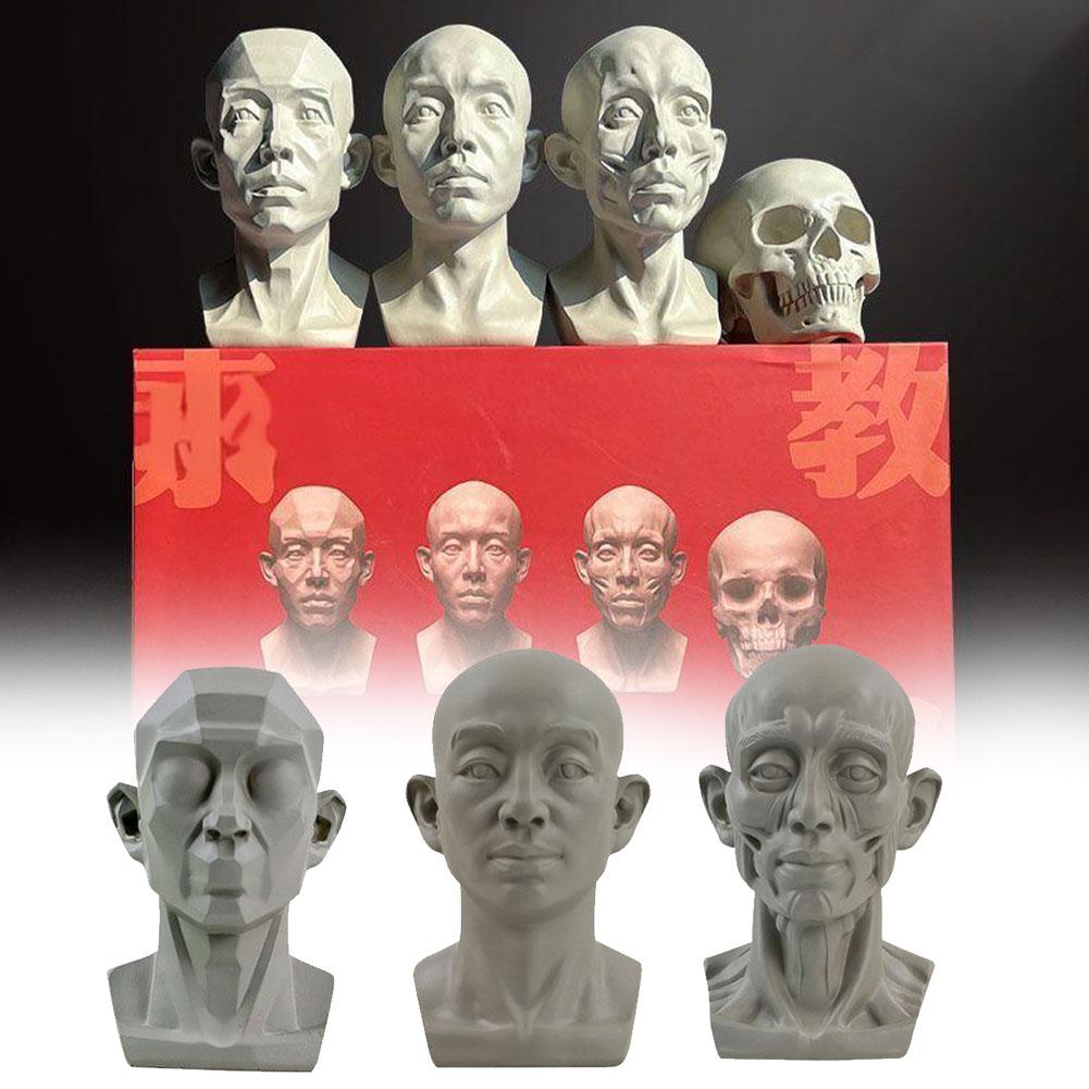 Kunst Gips Porträt Lehrmittel  – Resin Art Learning Bewertung und Preis