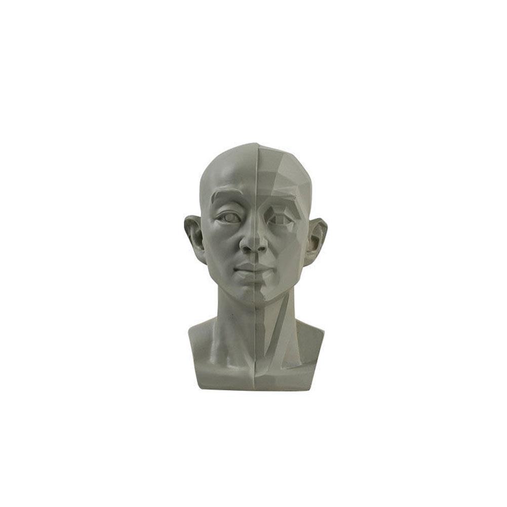 Kunst Gips Porträt Lehrmittel  – Resin Art Learning Bewertung und Preis